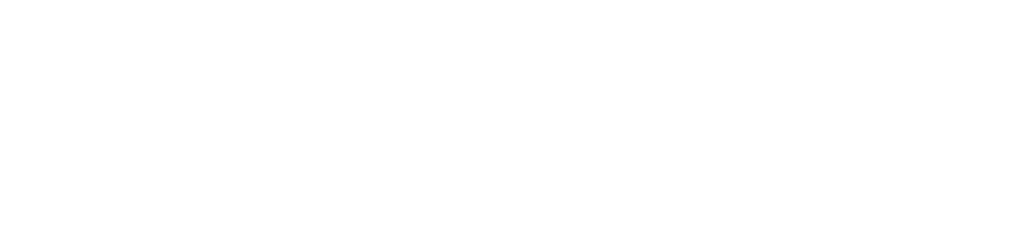 Logo Selki Blanc PNG